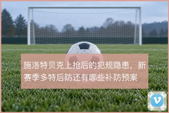 施洛特贝克上抢后的犯规隐患,新赛季多特后防还有哪些补防预案