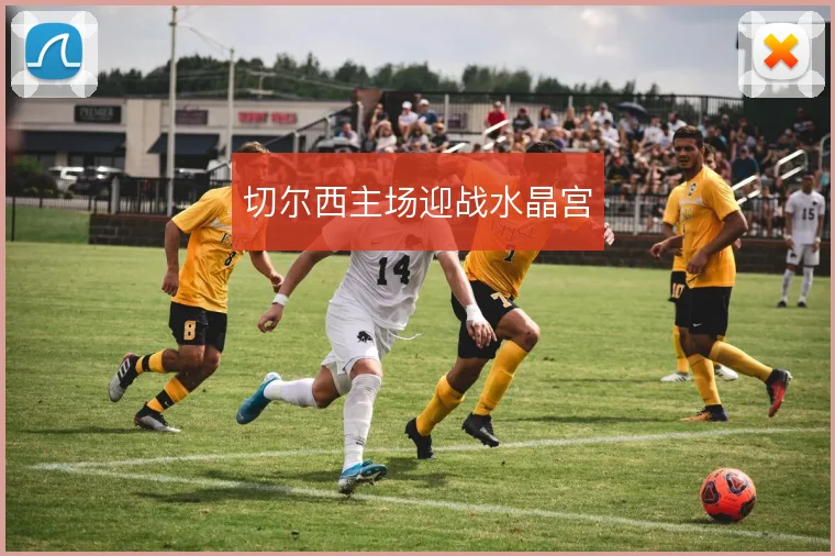 切尔西主场迎战水晶宫